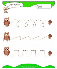 Çizgi Çalışma Sayfaları